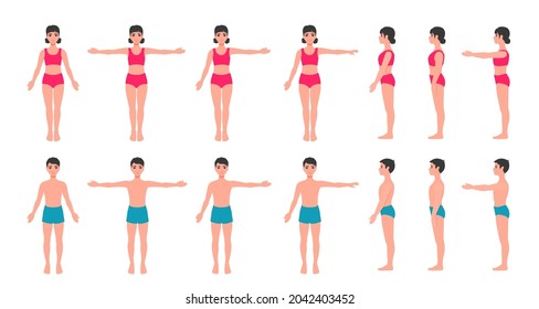 Children's body anatomy. A child girl, a boy. Kids full-length figure. A front view, a side view. A vector cartoon illustration.