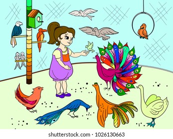 Childrens cartoon color the contact birds zoo. Bird picture book. Ornithology for the girl. Vector illustration