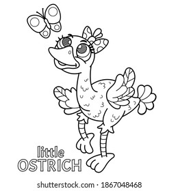 Children's coloring book with a cute character-an ostrich chick who looks at a butterfly and dreams of learning to fly. Vector illustration is intended for coloring by small children.