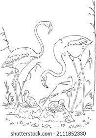 childrens coloring book flamingo with chicks vector