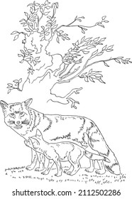 childrens coloring book fox and fox cub vector