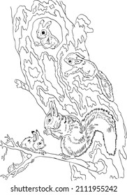 childrens coloring book squirrel and baby squirrels vector