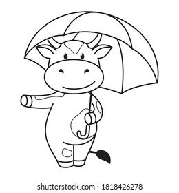 Children's coloring page with cute bulls, cows and oxen. The ox is a holding an umbrella symbol of the year 2021 according to the Chinese or Eastern calendar. Ready-to-print vector stock illustration isolated on a white 