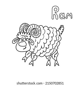 Children's coloring page of ram. Drawing by hand. The word ram is handwritten in English. Drawing by hand