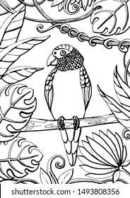 Children's coloring. A parrot sits on a branch in a rainforest.