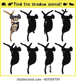 Children's developing game to find an appropriate shadow marsupial animal koalas on the tree. Vector illustration