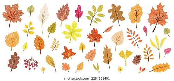 Children's drawing. Set of autumn leaves