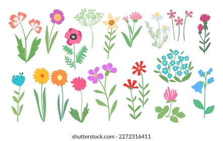 Children's drawing. Set with wild flowers