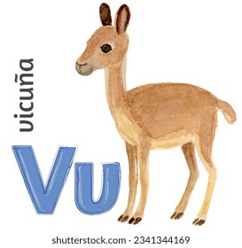 Children's drawing of a vicuna in watercolor to illustrate the letter v of the English alphabet.