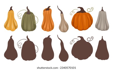 Childrens educational fun. Find right black silhouette for pumpkins. Vector template for autumn preschool games. Find the correct shadow for vegetables