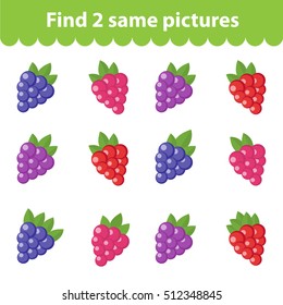 Children's educational game. Find two same pictures. Set of raspberry, blackberry, for the game find two same pictures. Vector illustration.
