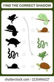 Children's educational mathematical addition game with reptiles. Vector illustration