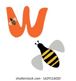 Children's English alphabet with drawings. Letter W