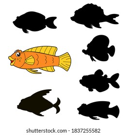 Children`s game - find the correct shadow. Vector isolated orange fish on the white background. Learning activity. 