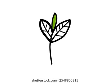 A children's illustration of a green leaf with three branches.

