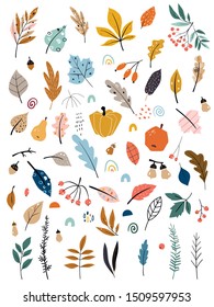 Children's illustration with hand drawn leaves, vegetables and autumn harvest. Autumn set. Collection of hand drawn fallen leaves, vegetables, berries, acorns, forest mushrooms, tree branches isolated