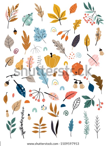 手描きの葉 野菜 秋の収穫など 子ども向けのイラスト 秋セット 手描きの落ち葉 野菜 ベリー どんぐり 森のきのこ 木の枝のコレクション のベクター画像素材 ロイヤリティフリー