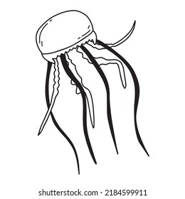 Childrens illustration of jellyfish isolated on white background. Hand-drawn jellyfish in doodle style. Vector illustration