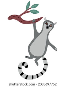  Childrens illustration of lemur hanging on branch. Hand-drawn cute lemur in cartoon style.