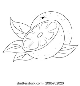 childrens illustration linear coloring fruit