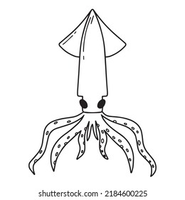 Childrens illustration of squid isolated on white background. Hand-drawn squid in doodle style. Vector illustration
