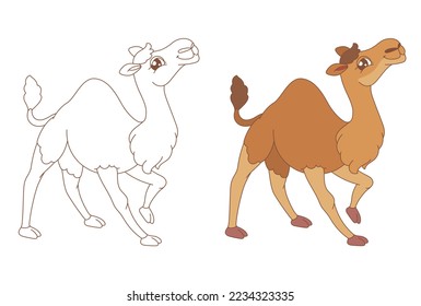 Children's simple coloring with the character of a cute camel, a linear version and a colorized version, for children's creativity, children's coloring