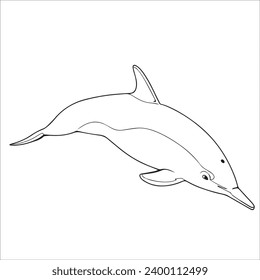 children's sketch illustration of a Dolphin