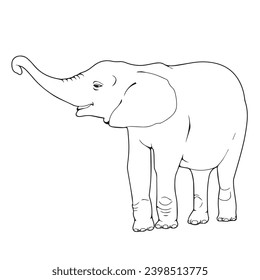 children's sketch illustration of a elephant svg