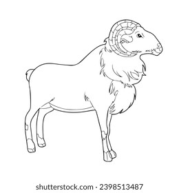 children's sketch illustration of a horned sheep