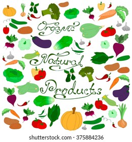 Children's summer pattern with vegetables on white background, can be used for wallpaper, pattern fills, web page background,surface textures.