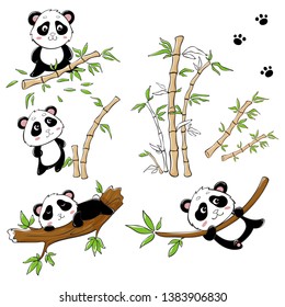 
children's vector illustration. set with pandas