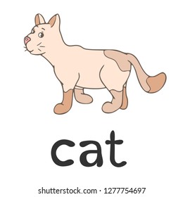 Children`s word card - english language: cat, pet, animal, line art, cartoon illustration, vector outline, learning, vocabulary, education