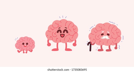 Child's Brain, Adult Brain, And Old Brain. Brain Age Concept Illustration.