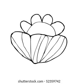 child's drawing of a cabbage