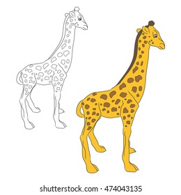 A child's drawing of a little giraffe on white background