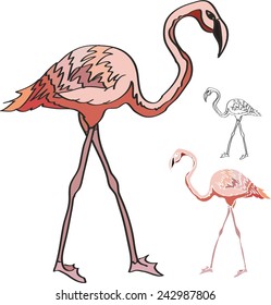 child's drawing of pink flamingos. vector