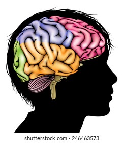 A child's head in silhouette with a sectioned brain. Concept for child mental, psychological development, brain development, learning and education or other medical theme