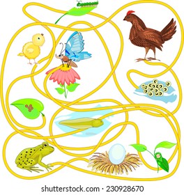 Child's play with a frog, butterfly and chicken