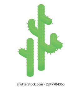 Chile green cactus icon isometric vector. Country travel. Costume emblem