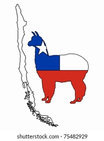 Chilean alpaca