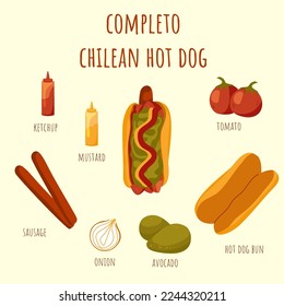 Chilean style hot dog completo ingredients. Popular latin american street food hot dog bun filled with sausage, tomato, avocado paste and onion. Cute doodle flat card. Vector illustration.