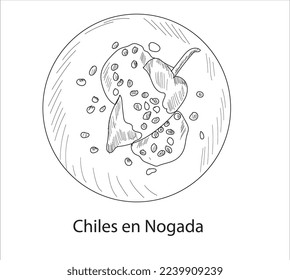 Chiles en nogada mexican food vector. Best Mexican Dishes. Latin american food illustration.