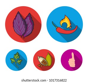 Chili, basil, cocoa beans, parsley.Herbs and spices set collection icons in flat style vector symbol stock illustration web.