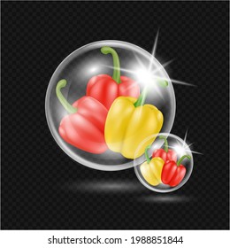 Chili in bubbles. Red yellow chili pepper pod realistic with 3D vector illustration. On a translucent background. Design for culinary products, seasoning and spice package, recipe web site decoration.