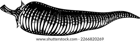 Chili, chile or chilli pepper vegetable illustration in a vintage retro woodcut etching style.