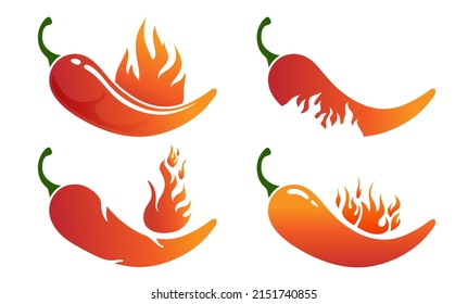 Chili With Fire Logo Design Vector.
Hot burning fire flame and red chili pepper isolated on white background. Vector illustration for restaurant design or spicy food menu.