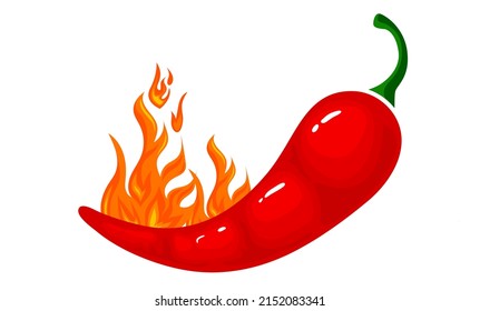 Chili With Fire Logo Design Vector.
Hot burning fire flame and red chili pepper isolated on white background. Vector illustration for restaurant design or spicy food menu.