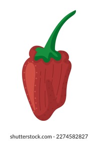 chili fresh vegetable icon isolated white background