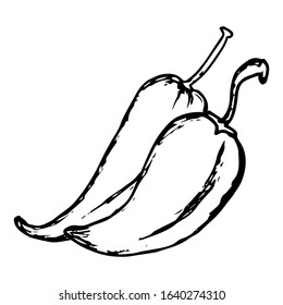 Chili hand drawn illustration on doodle style 