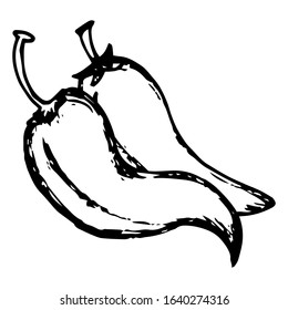 Chili hand drawn illustration on doodle style 